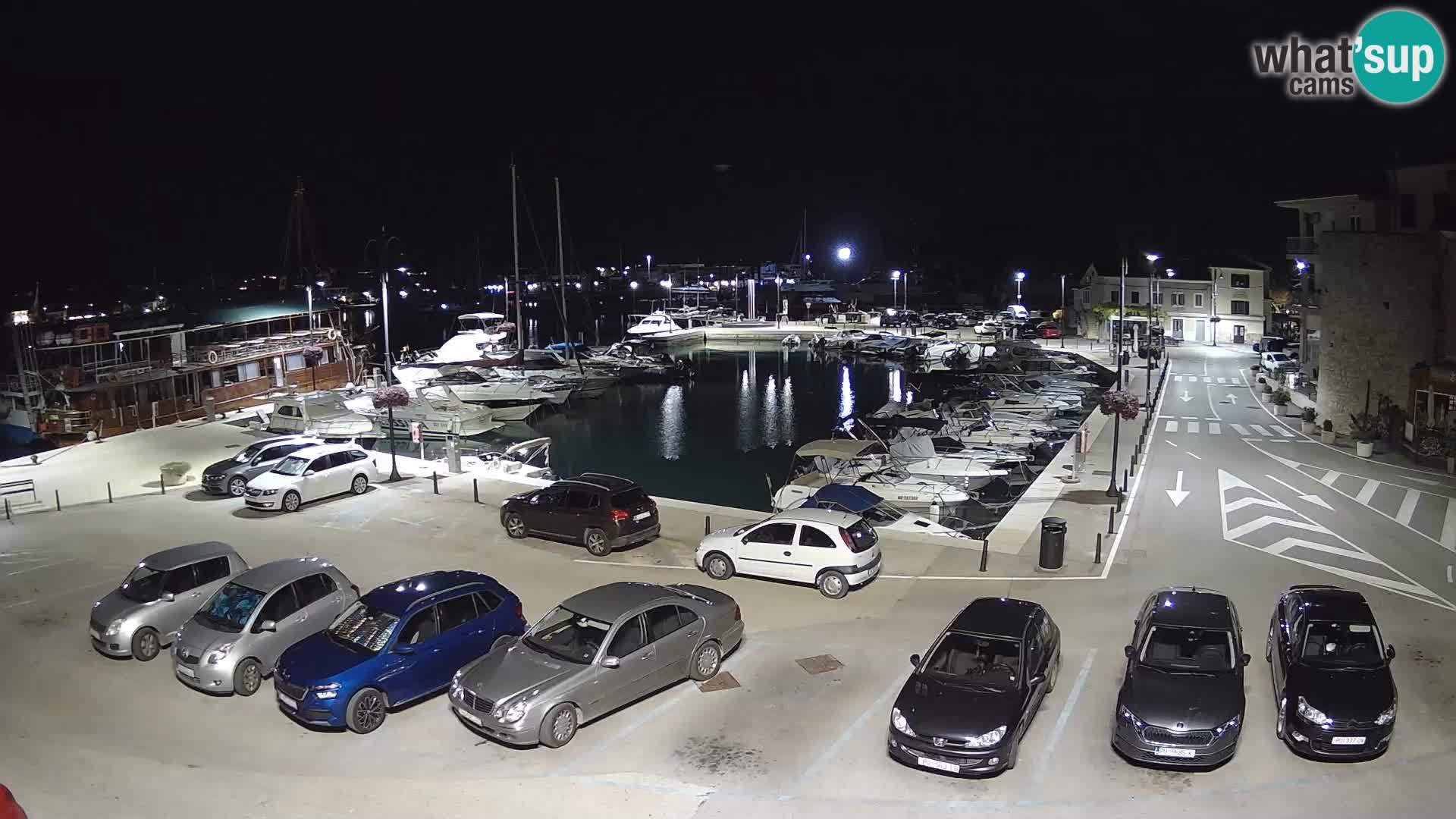 Novigrad | Porporela marina