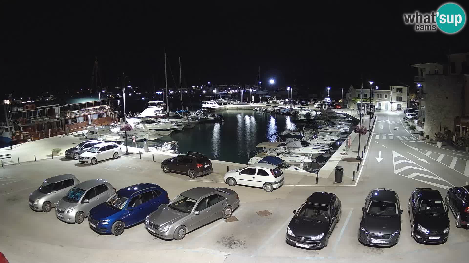 Novigrad | Porporela marina