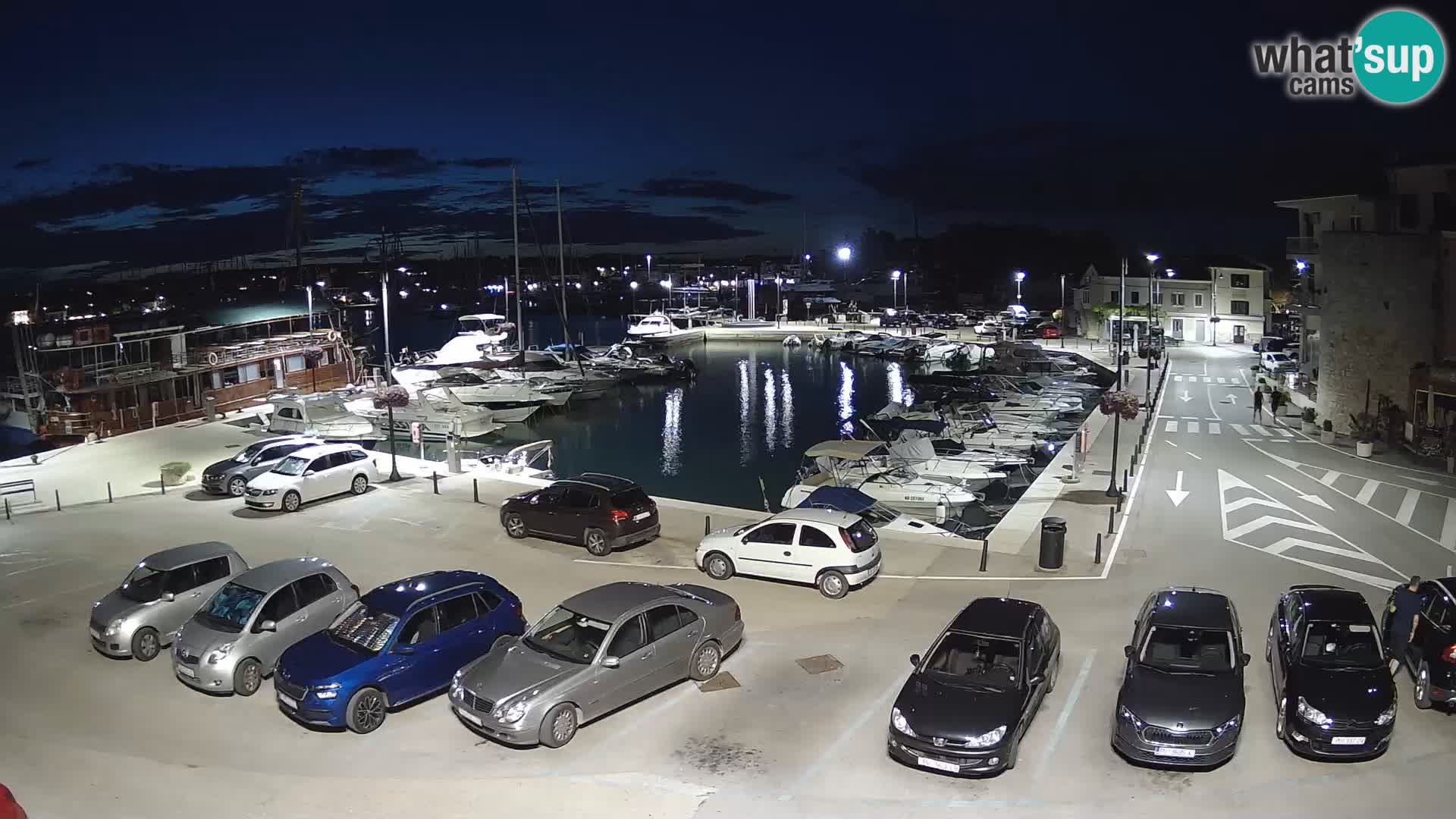 Novigrad | Porporela marina