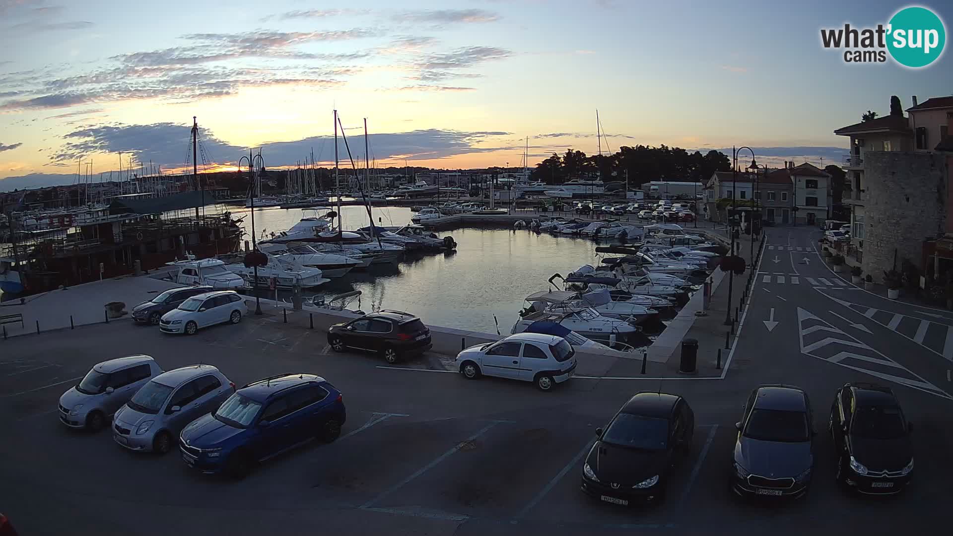 Novigrad | Porporela marina