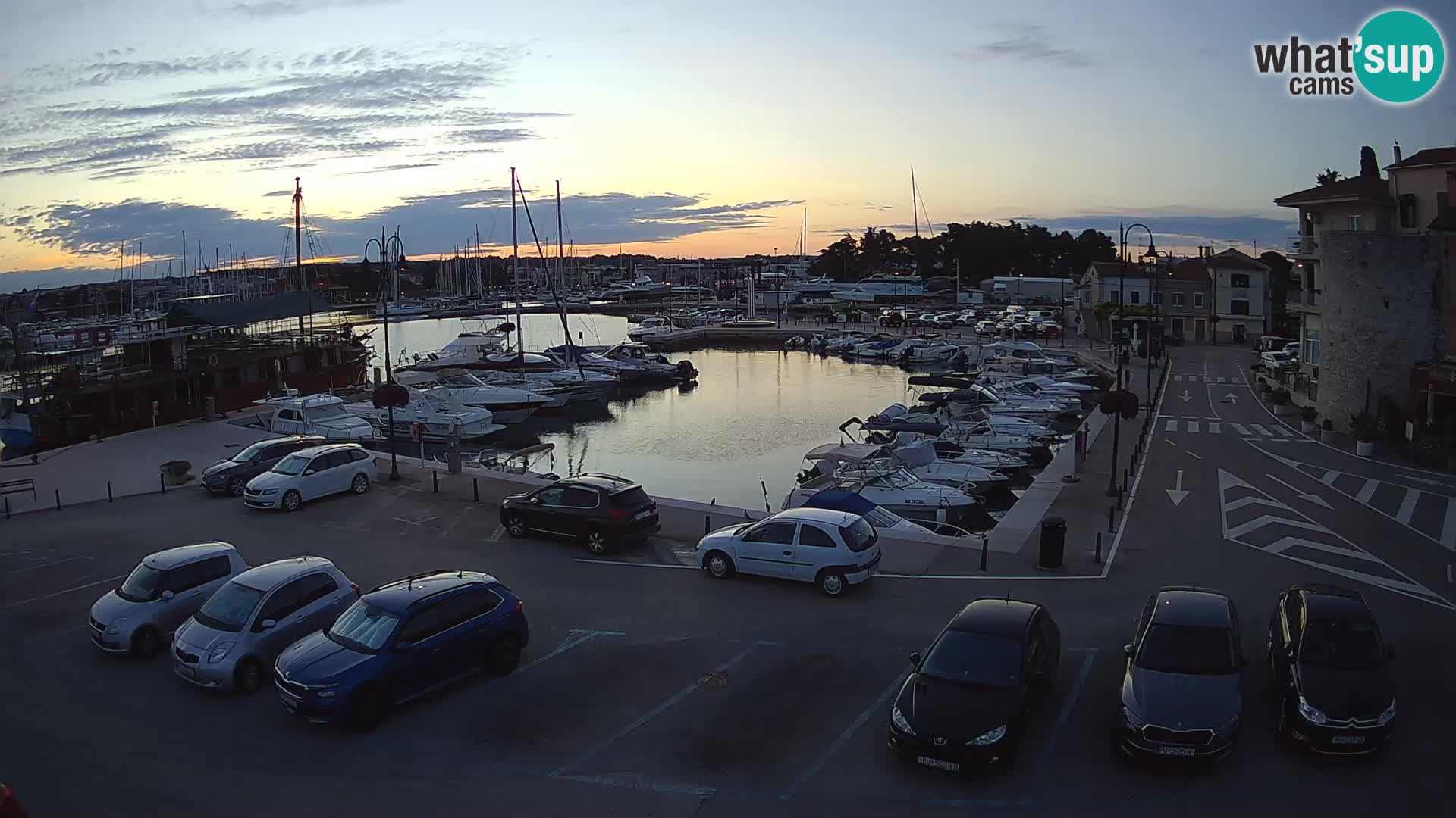 Novigrad | Porporela marina