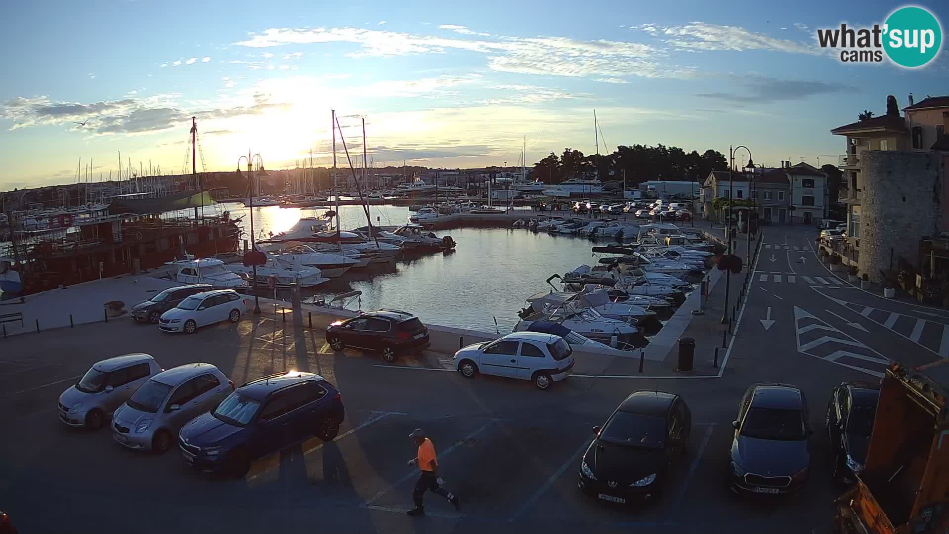 Novigrad | Porporela marina