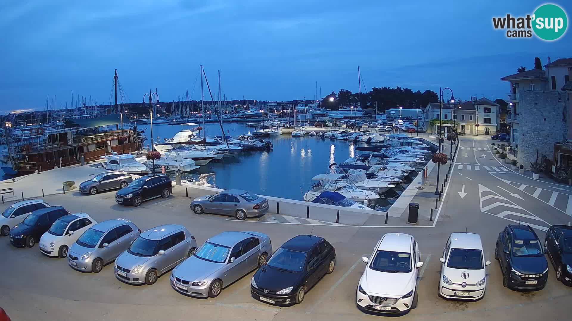 Novigrad | Porporela marina