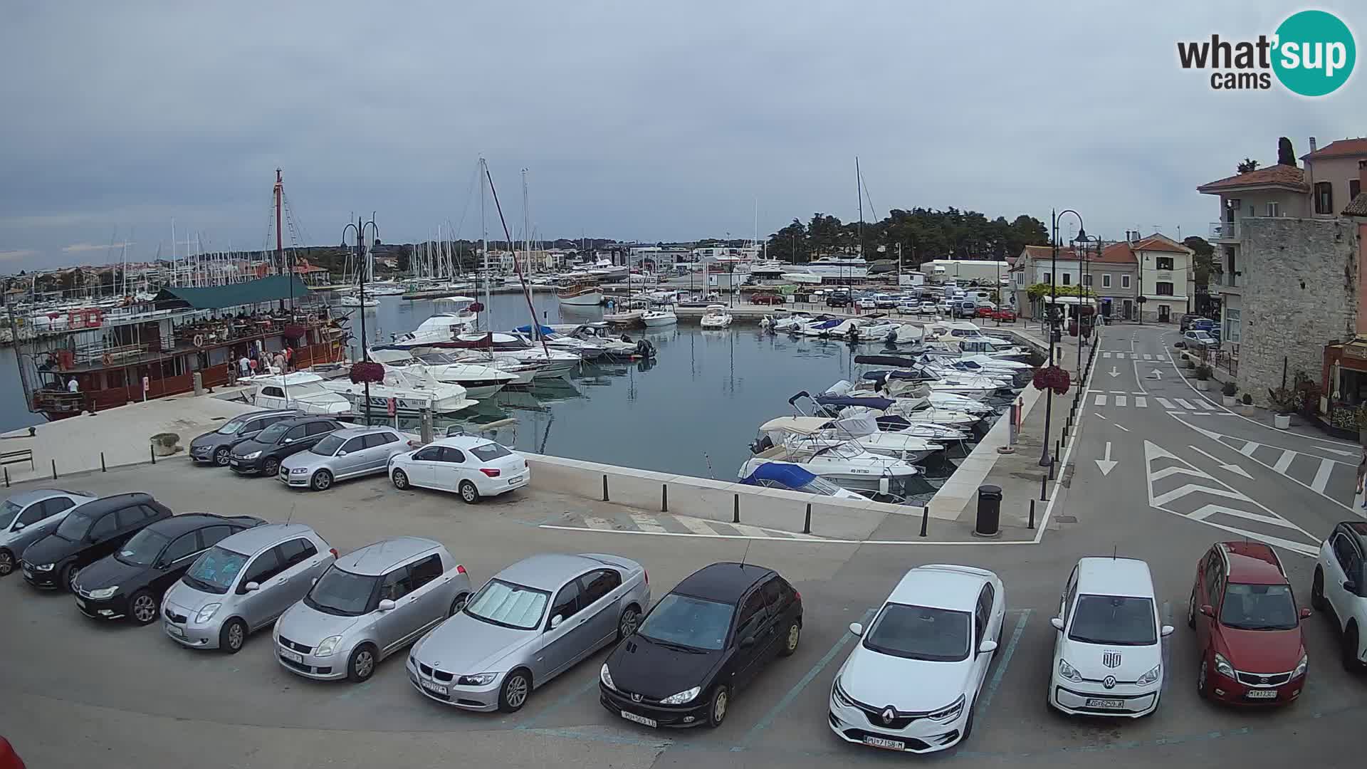 Novigrad | Porporela marina