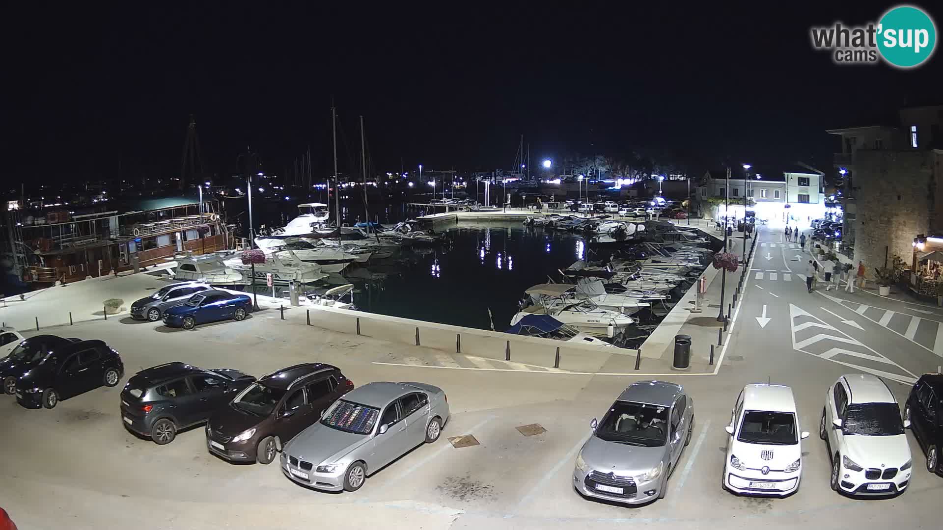 Novigrad | Porporela marina