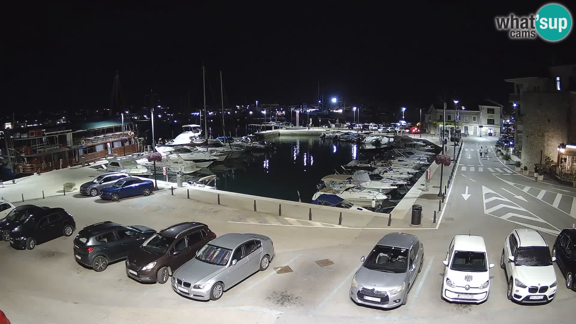 Novigrad | Porporela marina