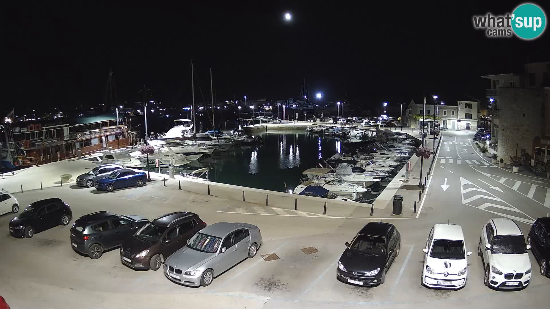 Novigrad | Porporela marina