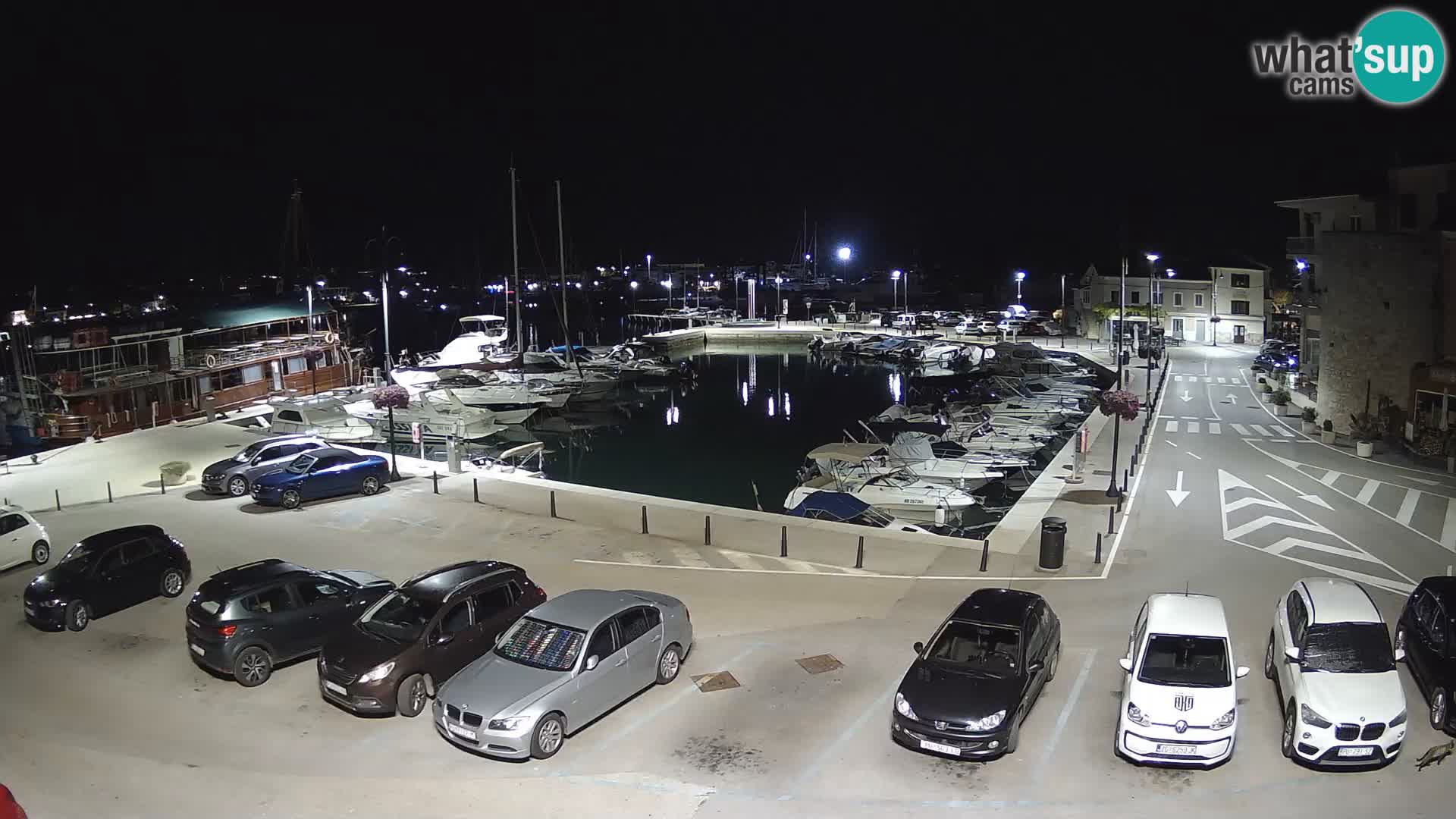 Novigrad | Porporela marina