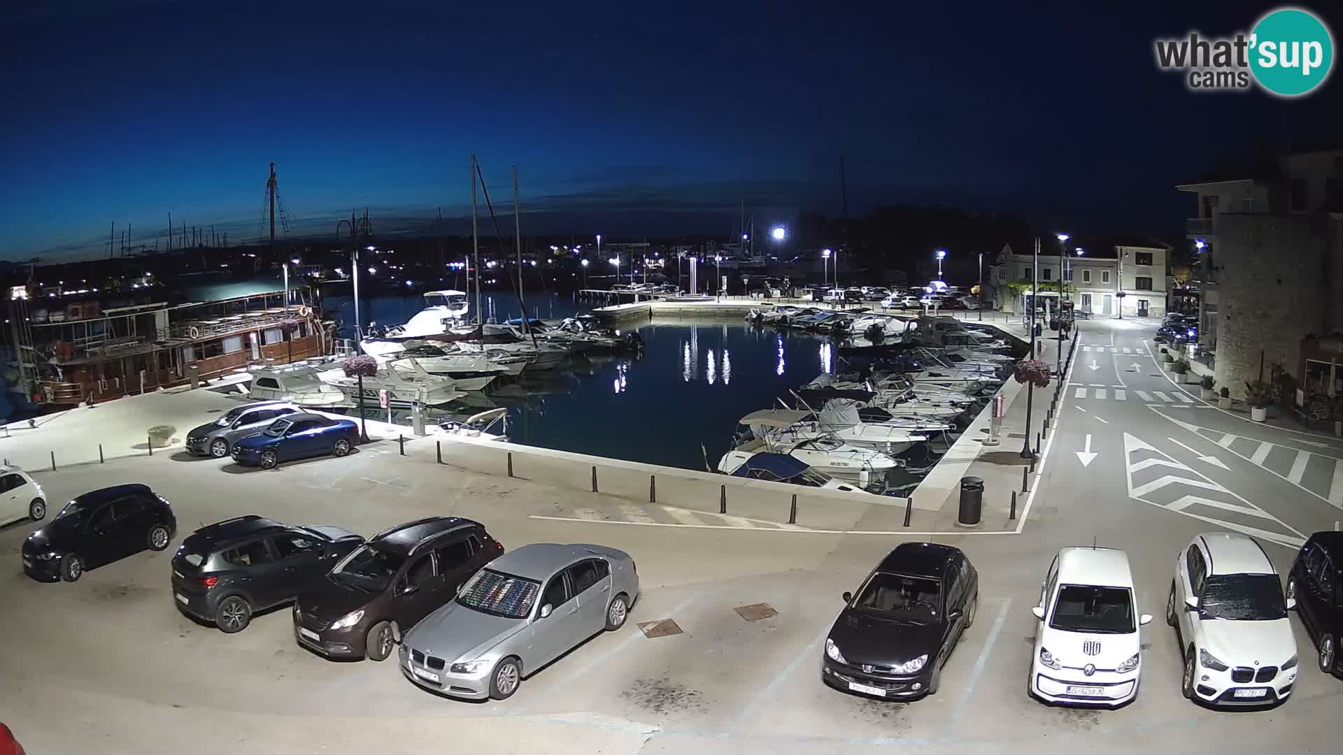 Novigrad | Porporela marina