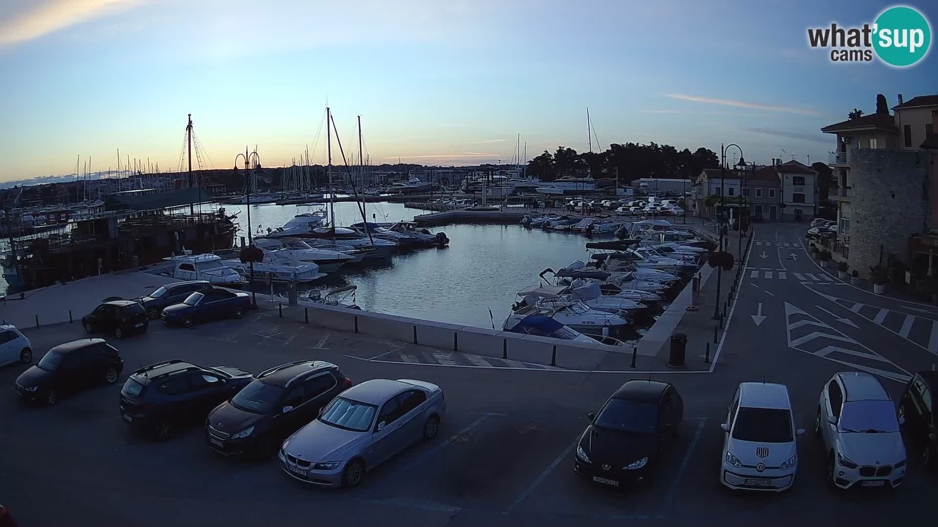 Novigrad | Porporela marina