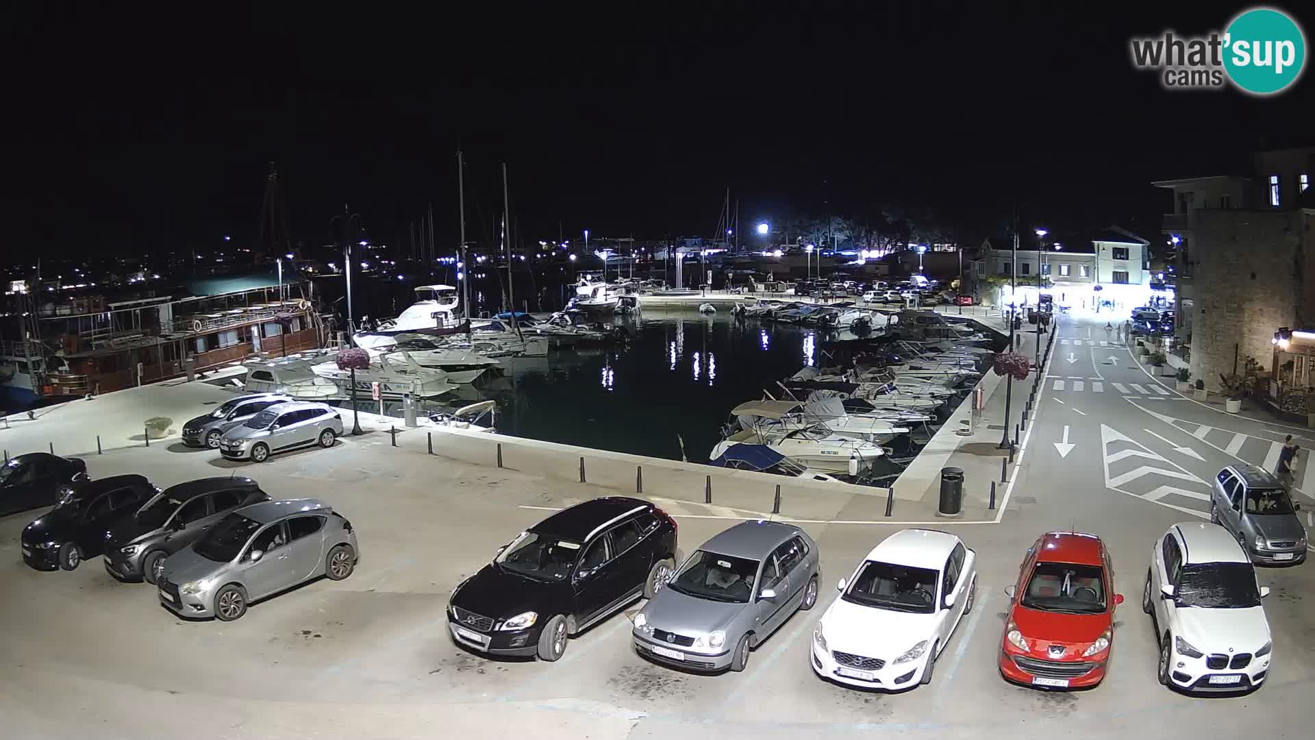 Novigrad | Porporela marina
