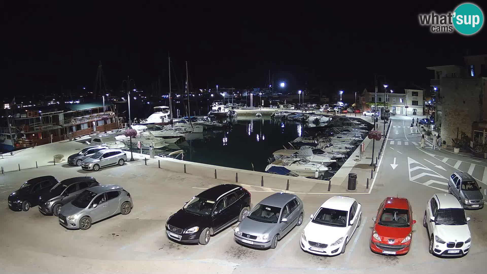 Novigrad | Porporela marina