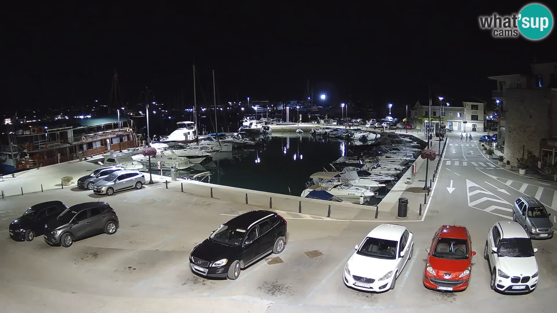 Novigrad | Porporela marina