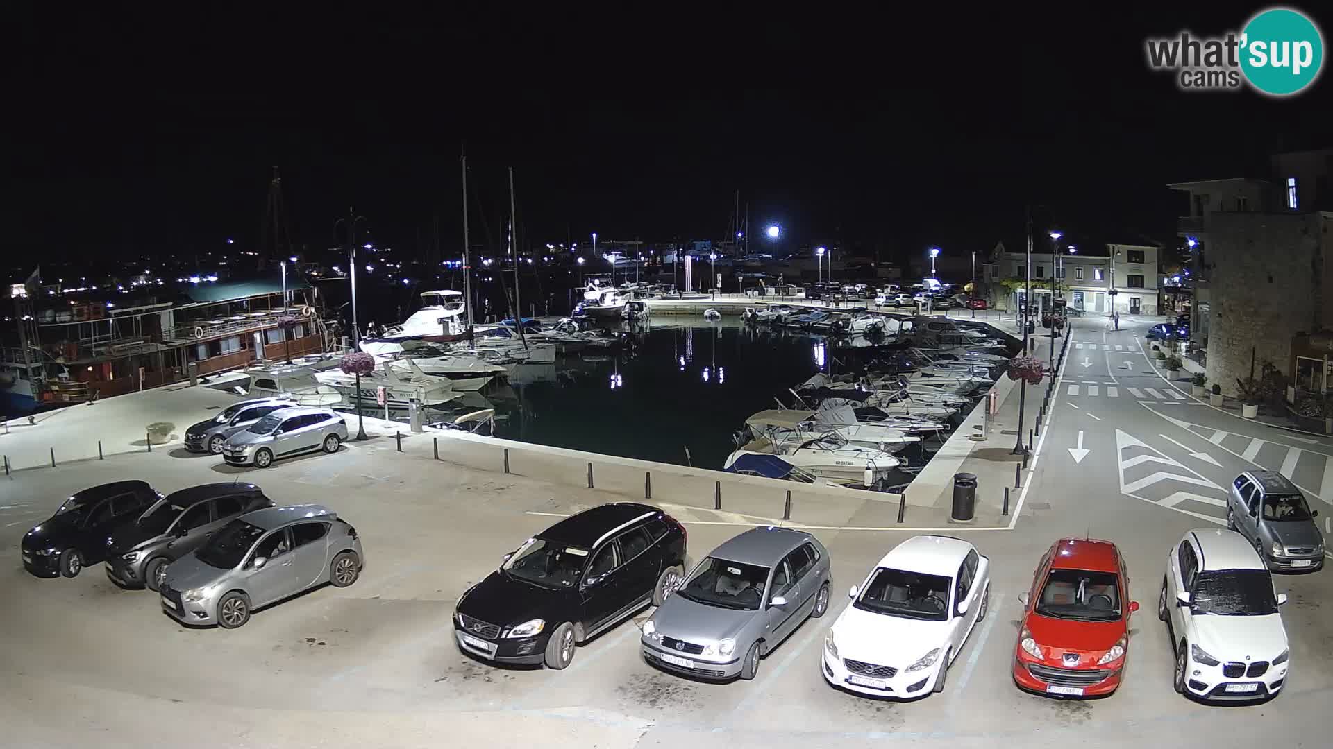 Novigrad | Porporela marina
