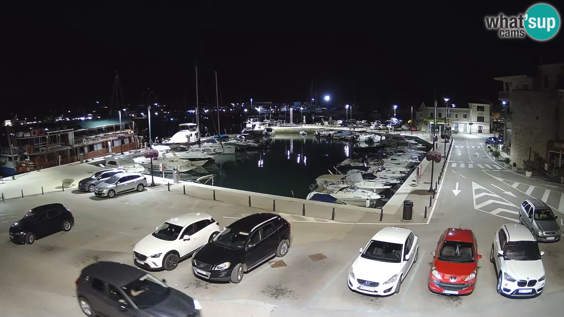Novigrad | Porporela marina