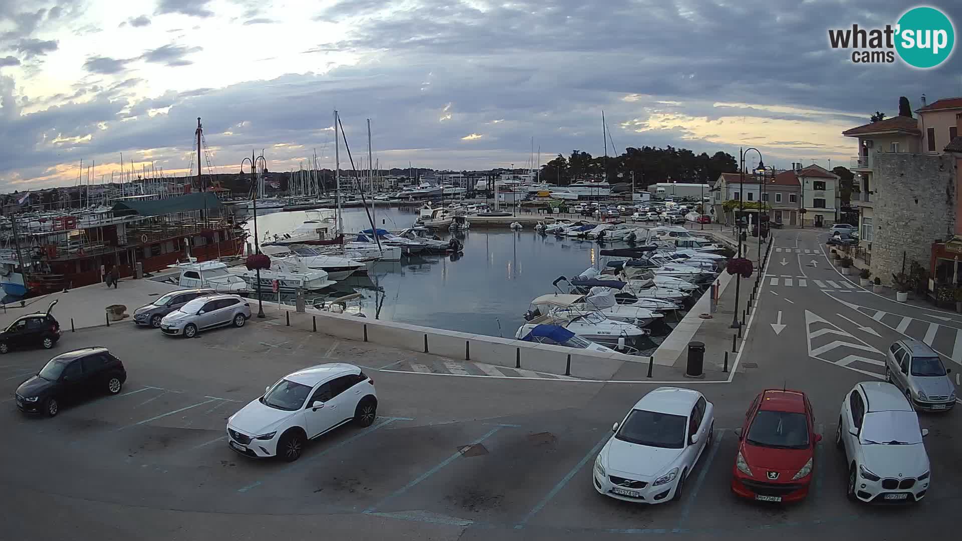 Novigrad | Porporela marina