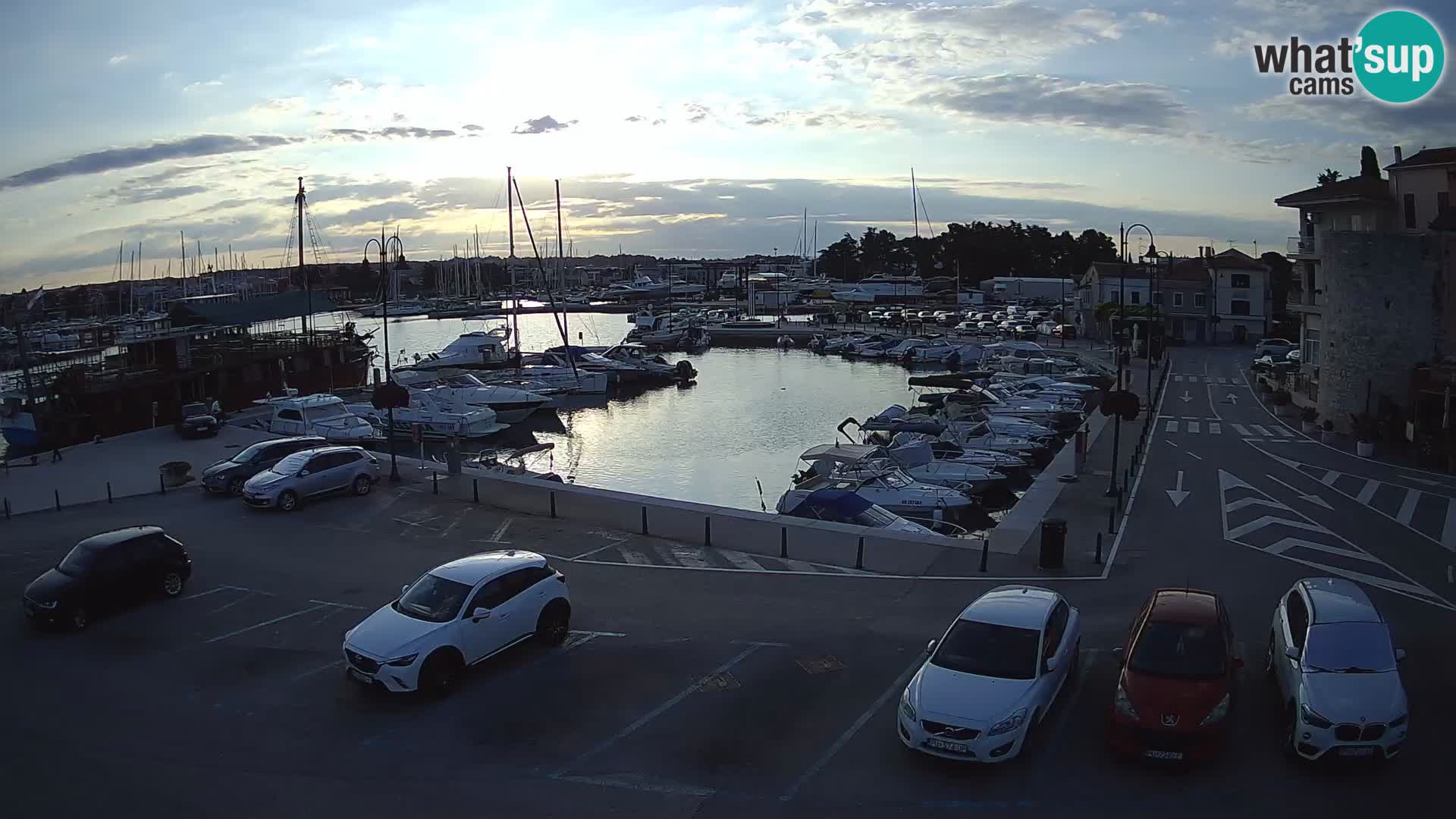 Novigrad | Porporela marina