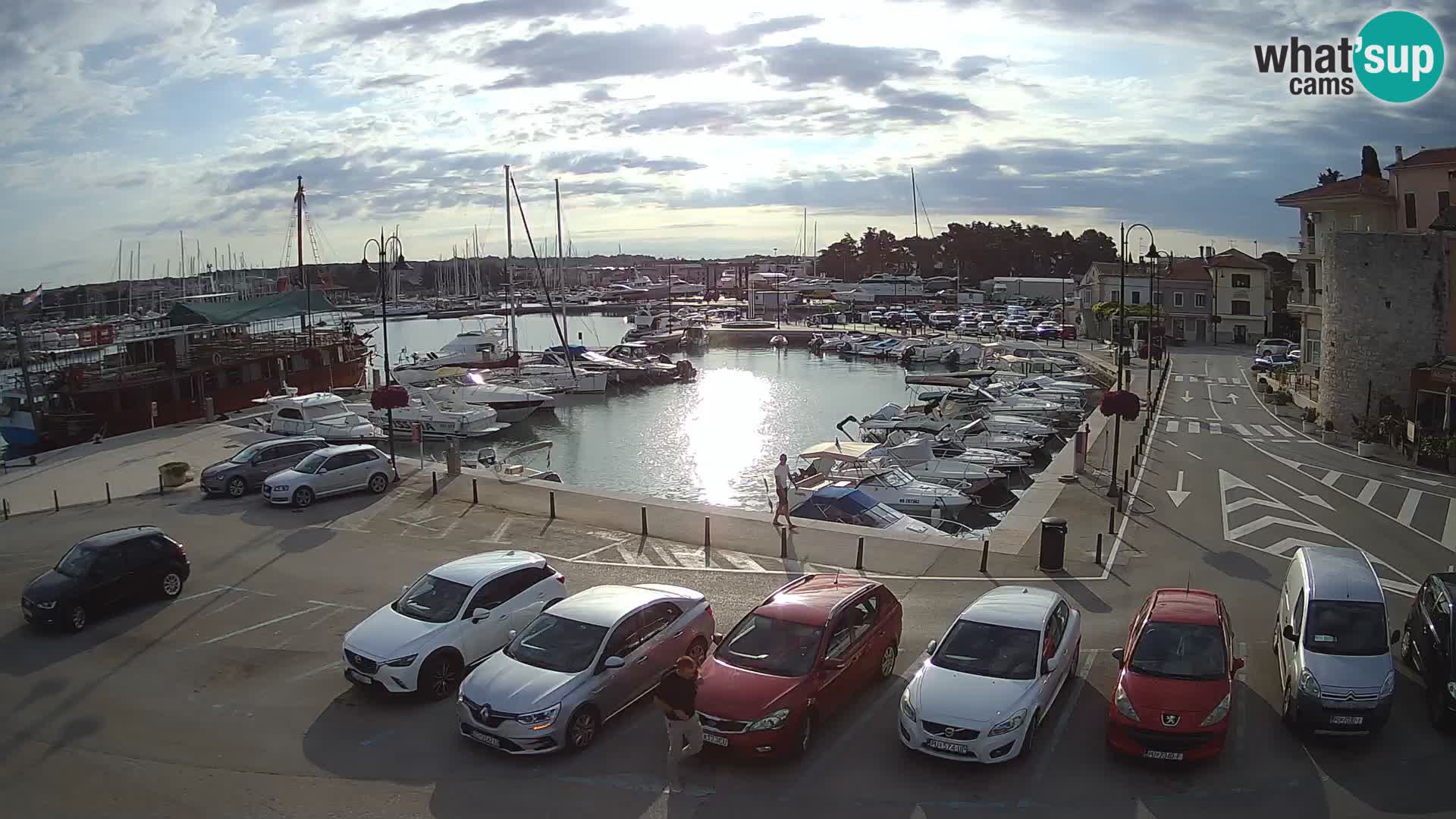 Novigrad | Porporela marina