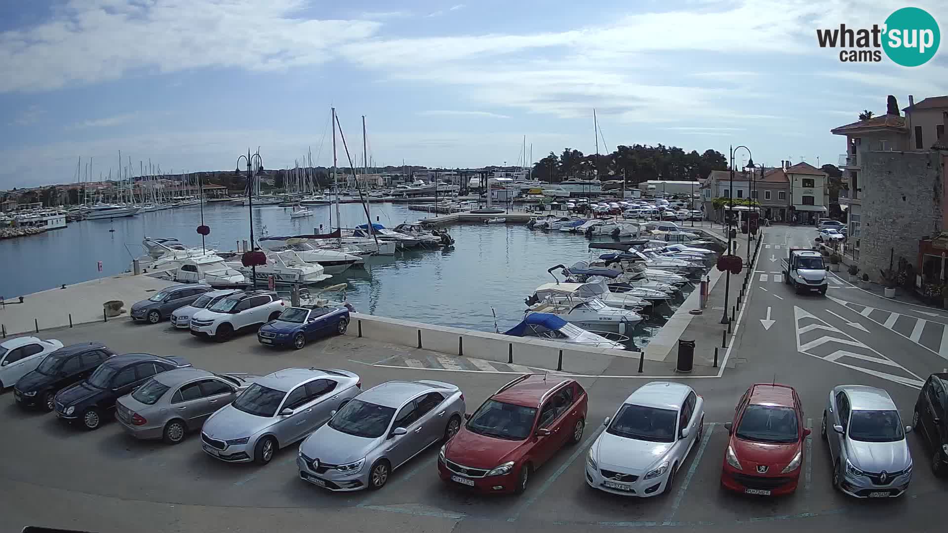 Novigrad | Porporela marina