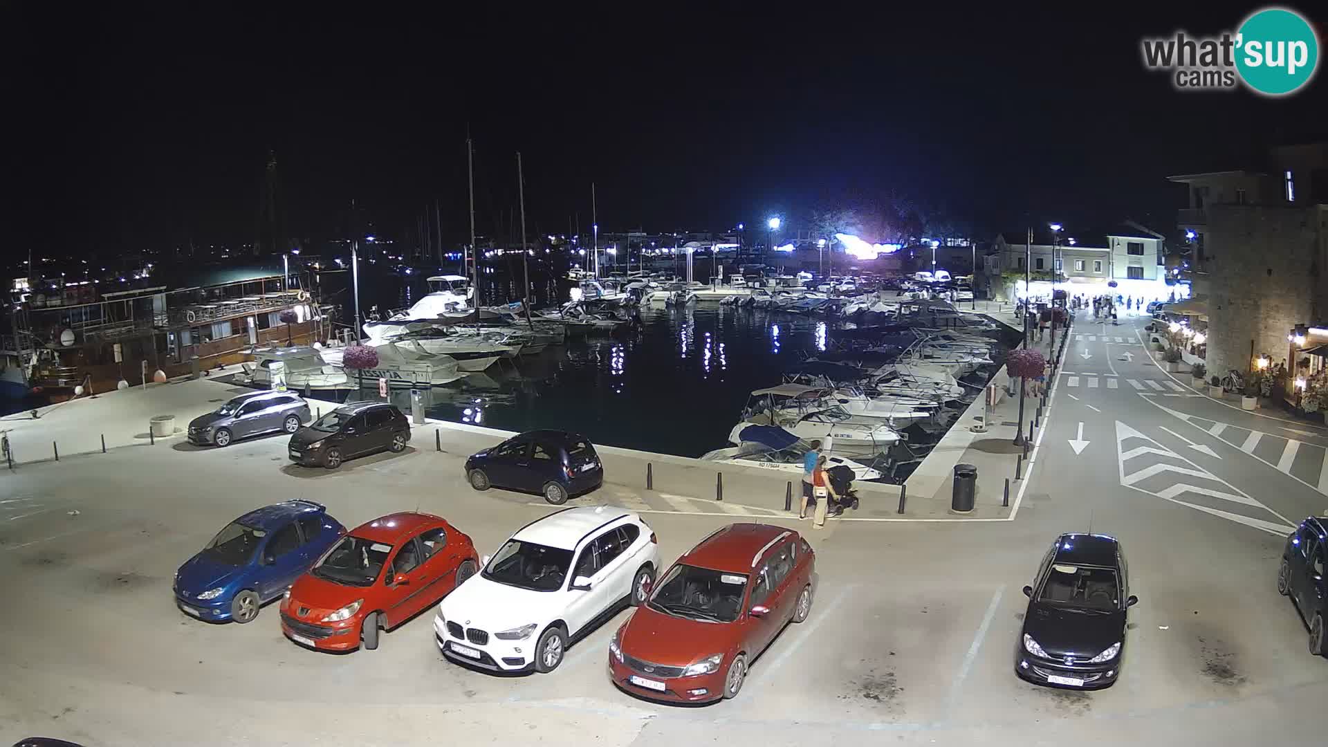 Novigrad | Porporela marina