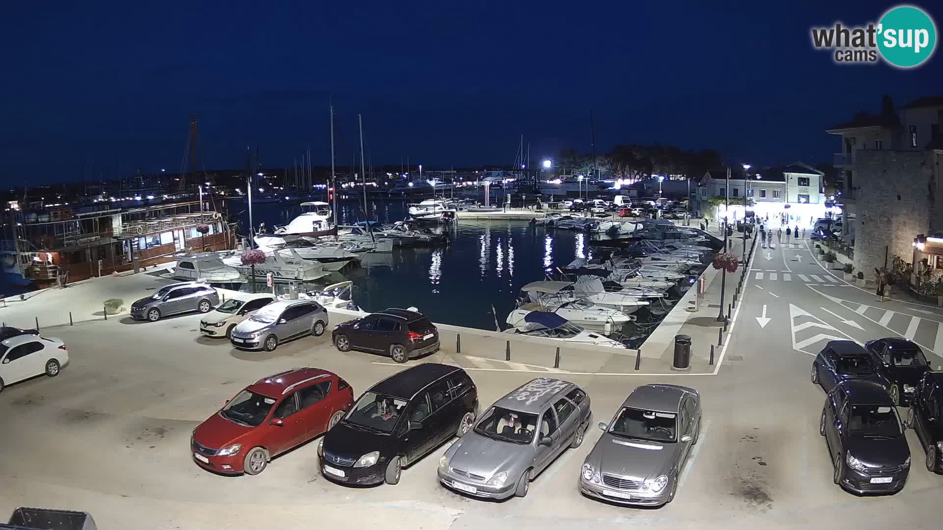 Novigrad | Porporela marina