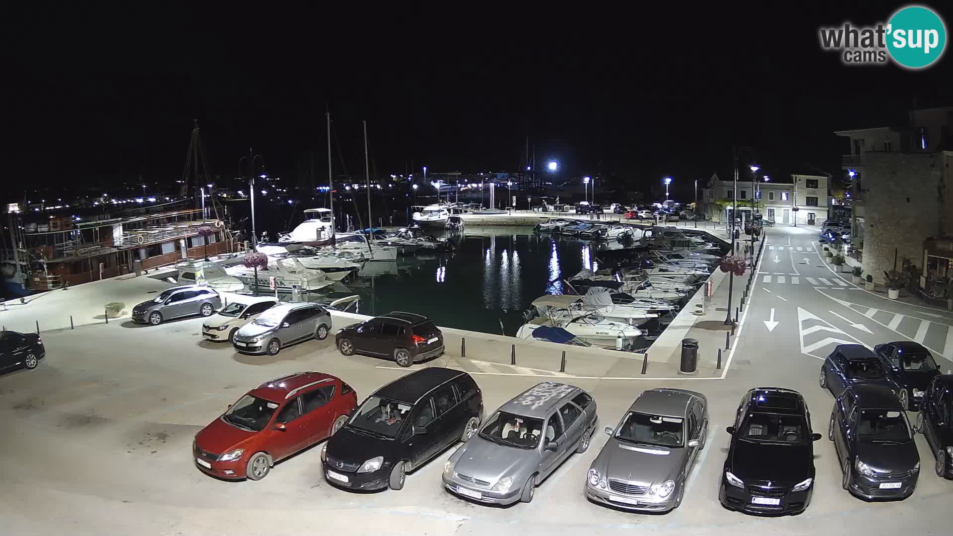 Novigrad | Porporela marina