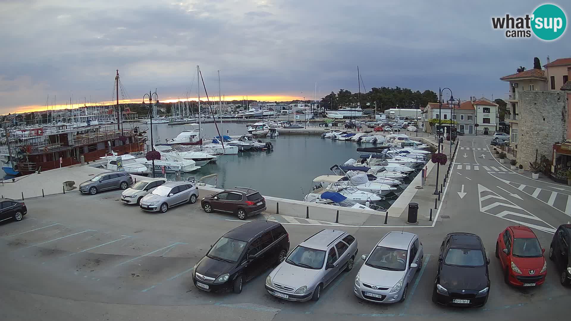 Novigrad | Porporela marina