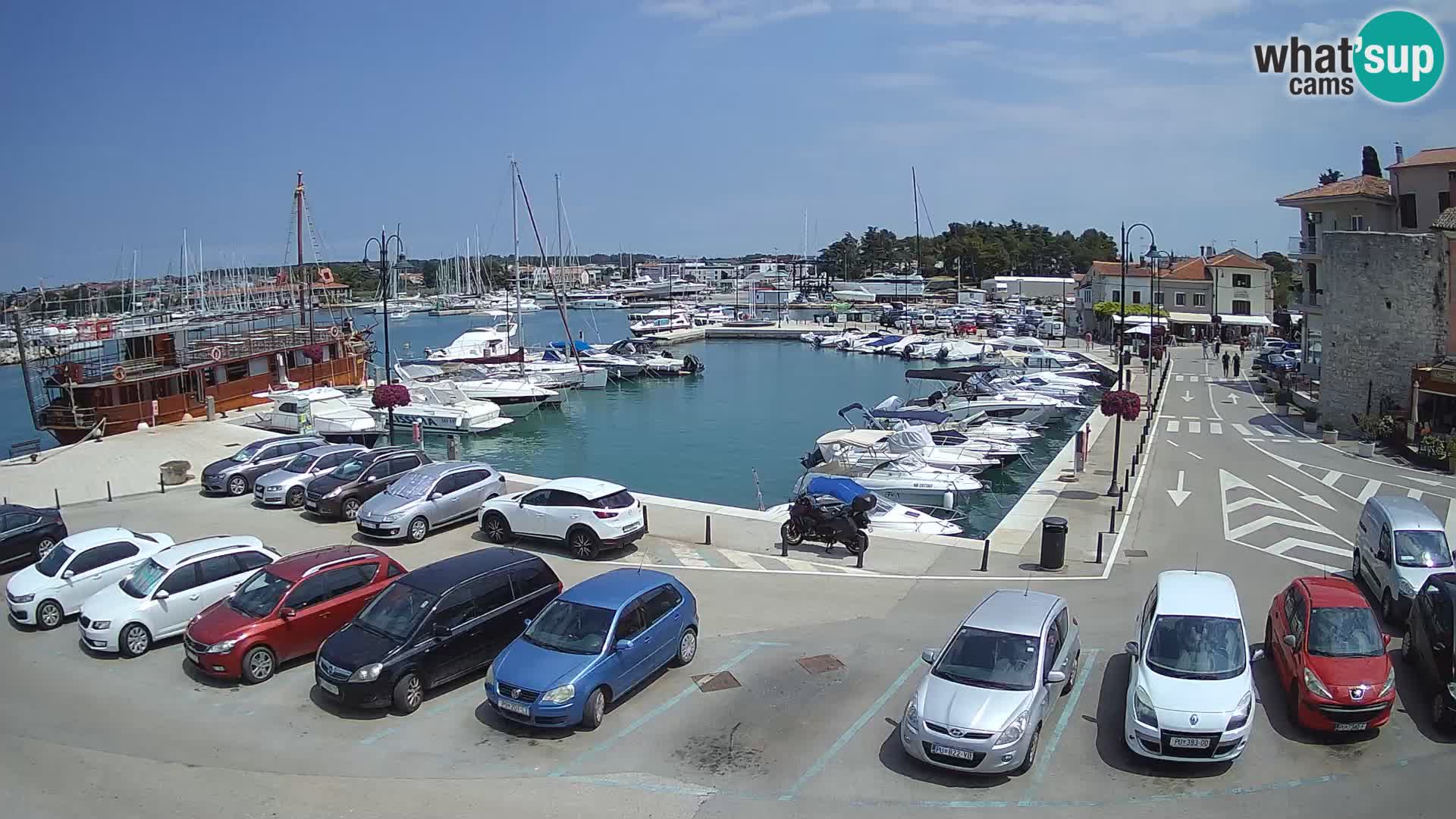 Novigrad | Porporela marina