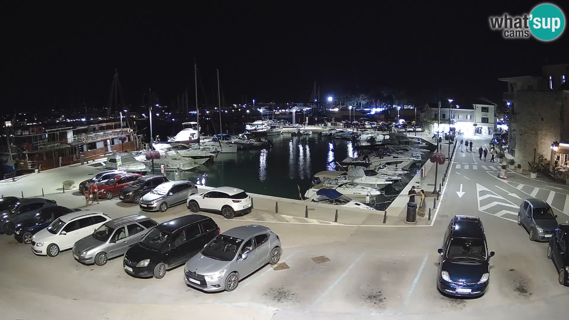 Novigrad | Porporela marina