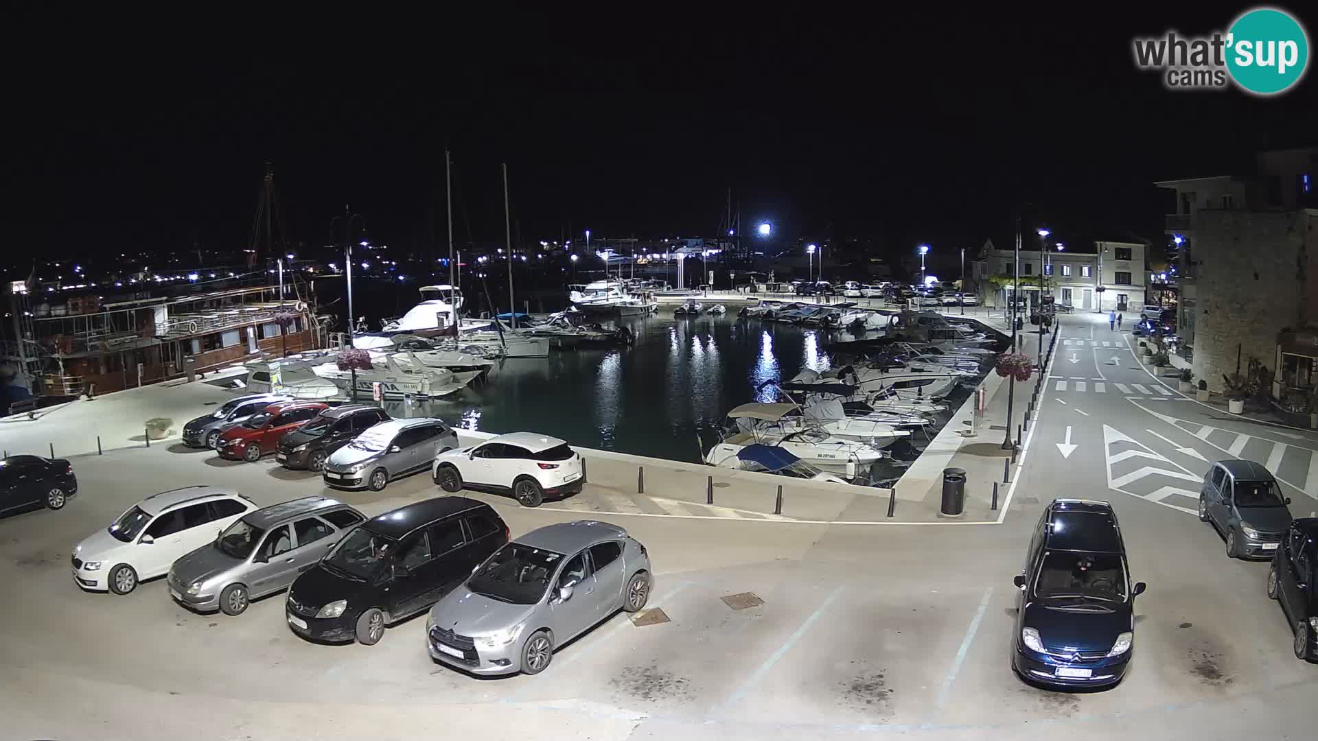 Novigrad | Porporela marina