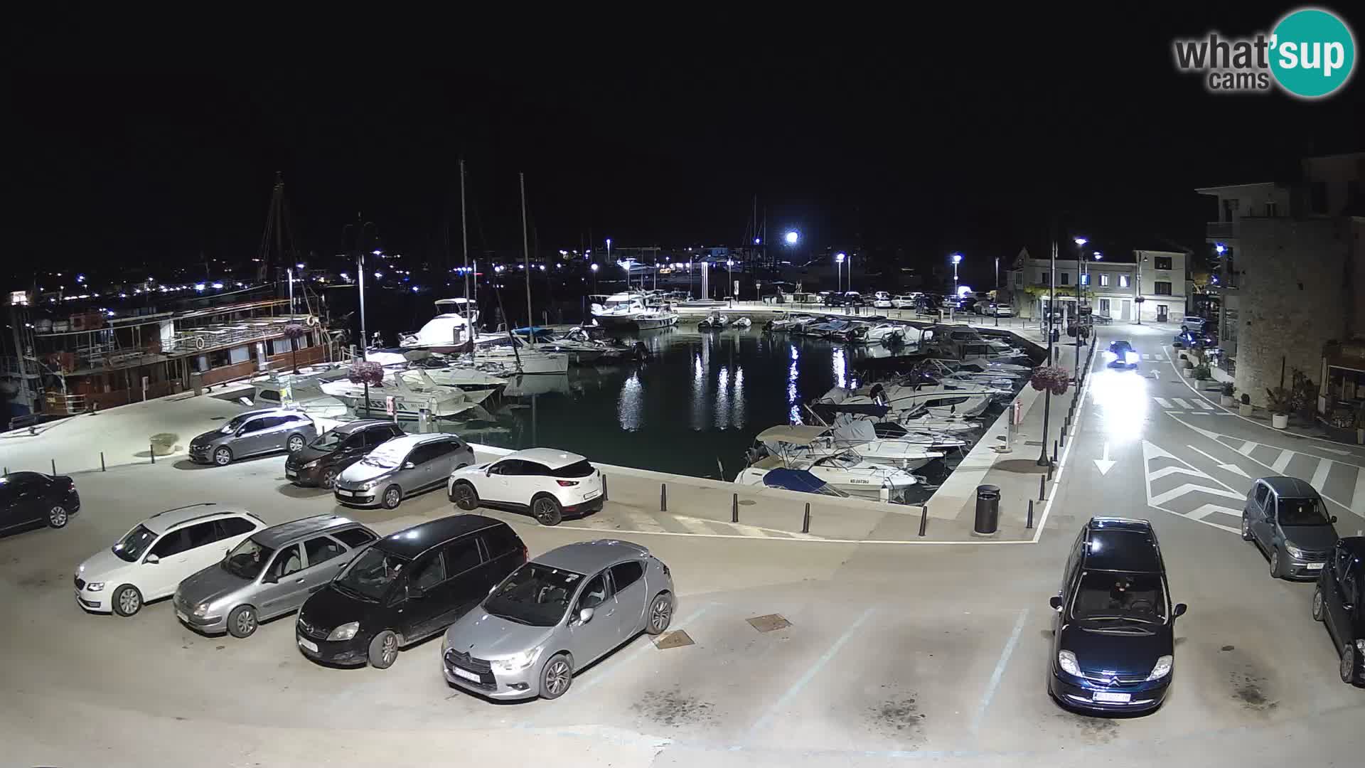 Novigrad | Porporela marina