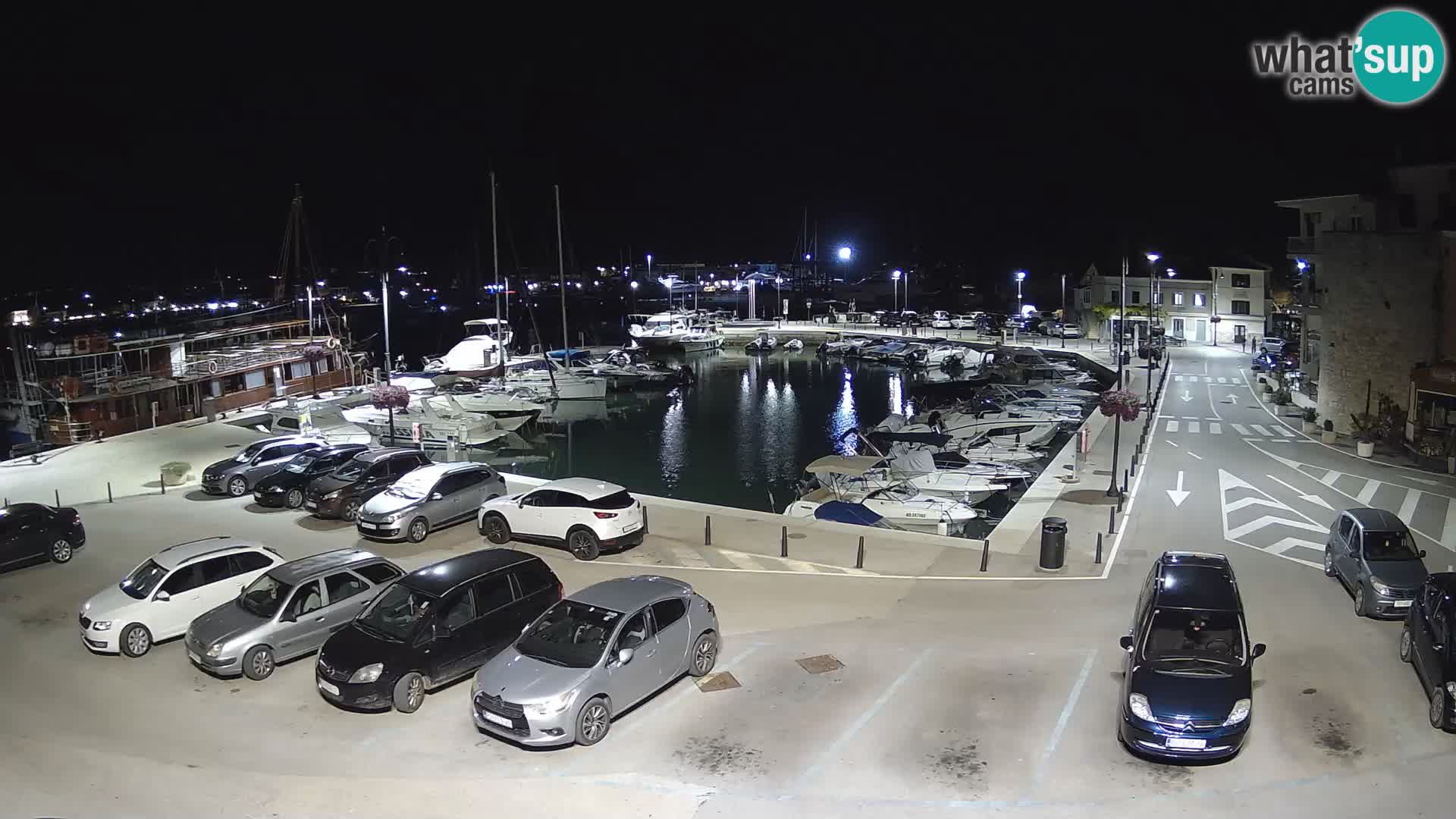 Novigrad | Porporela marina