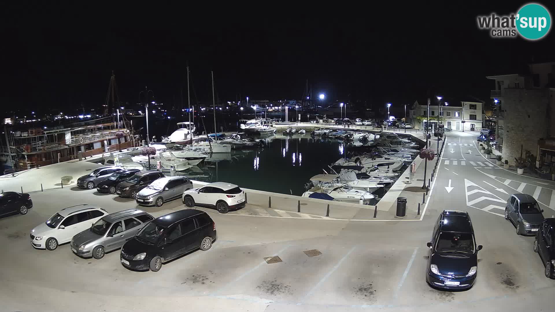 Novigrad | Porporela marina