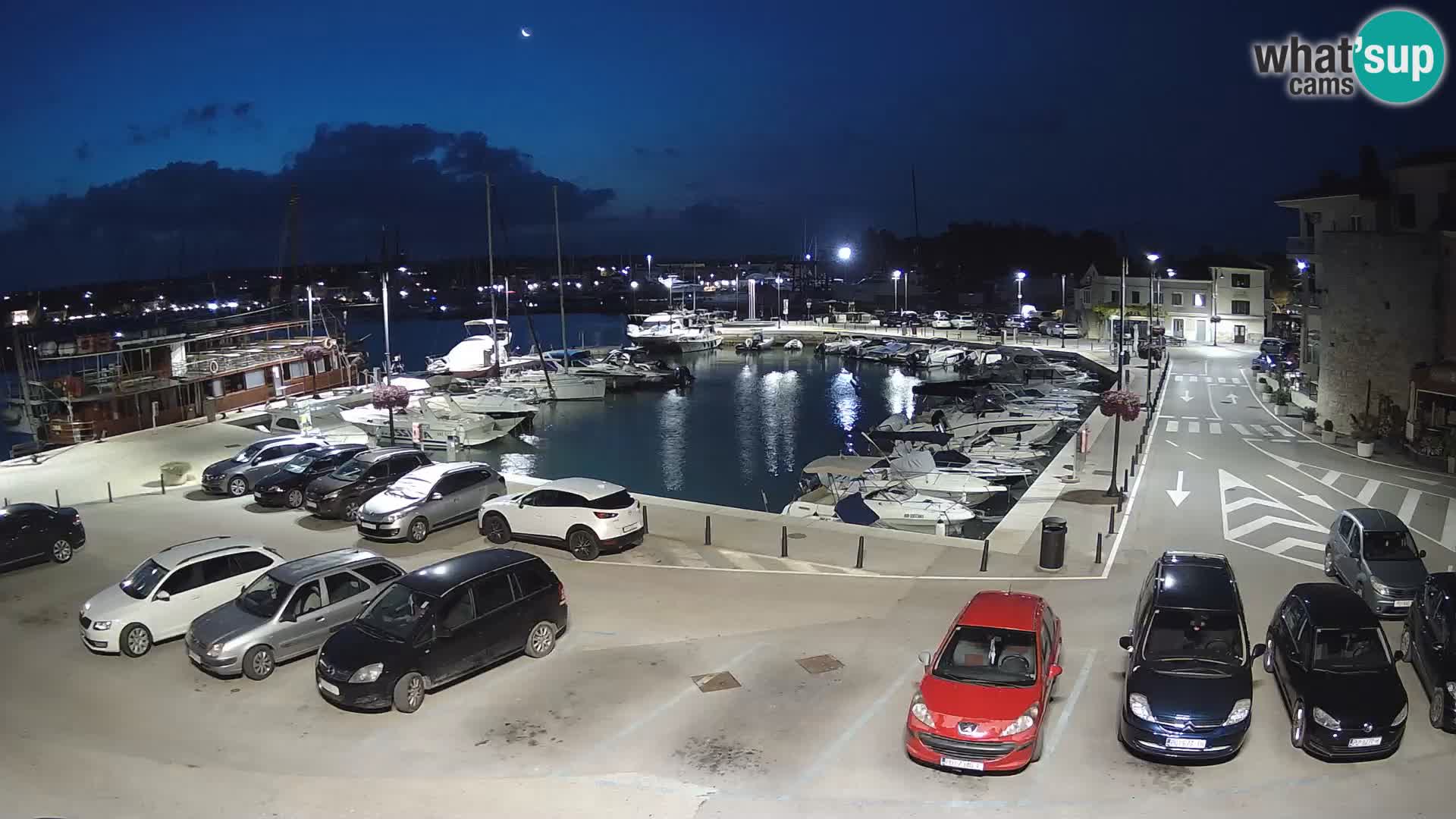 Novigrad | Porporela marina