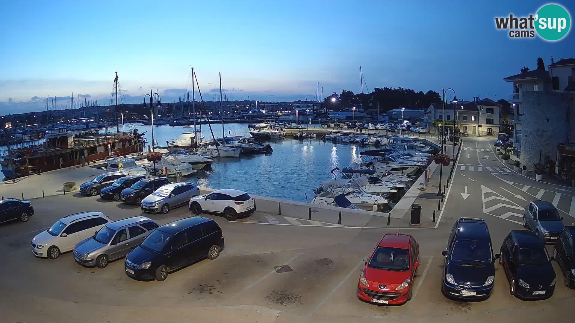 Novigrad | Porporela marina