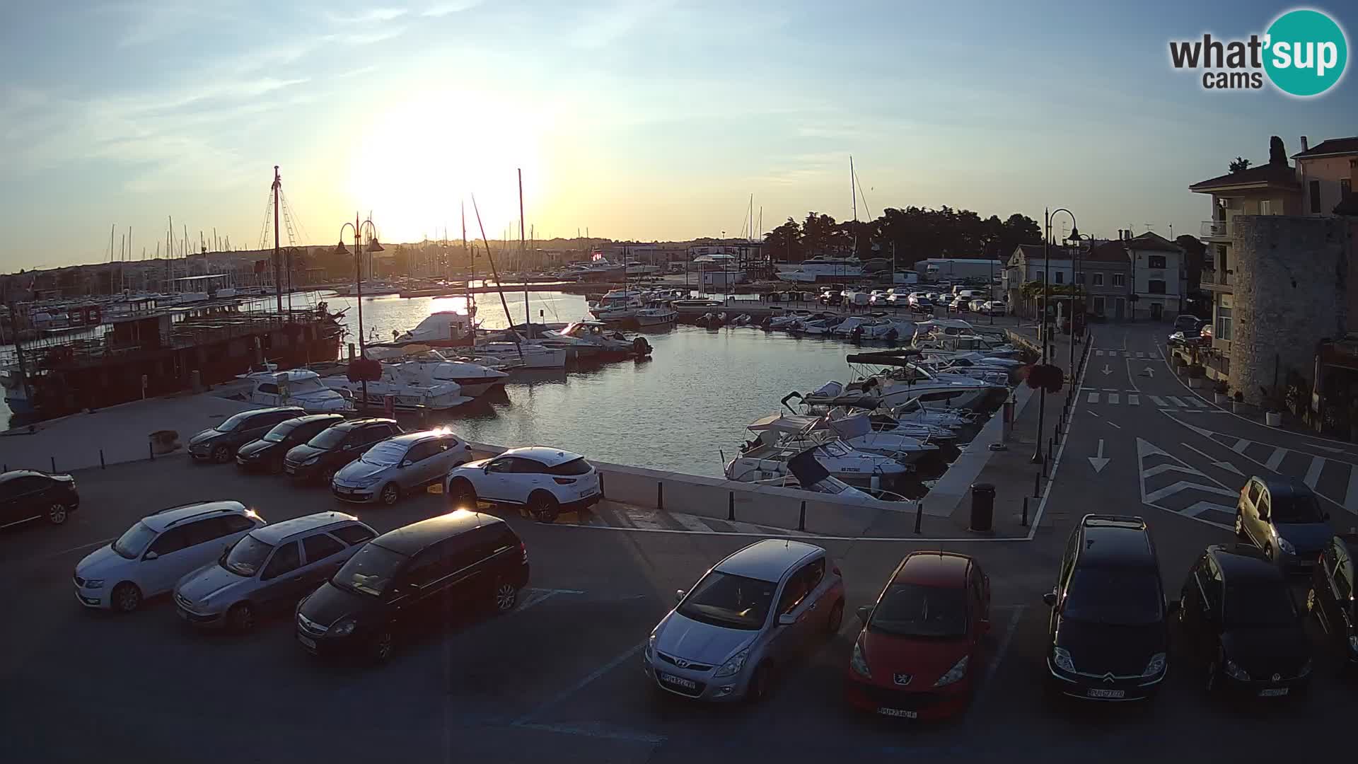 Novigrad | Porporela marina