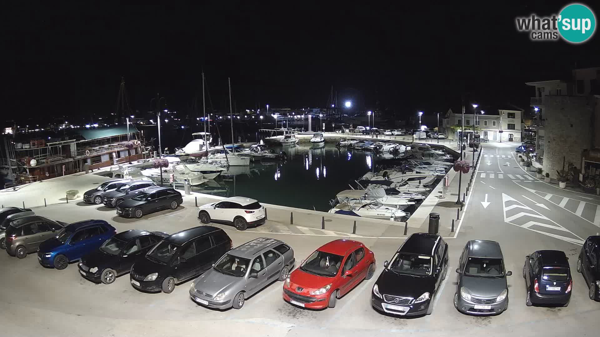 Novigrad | Porporela marina