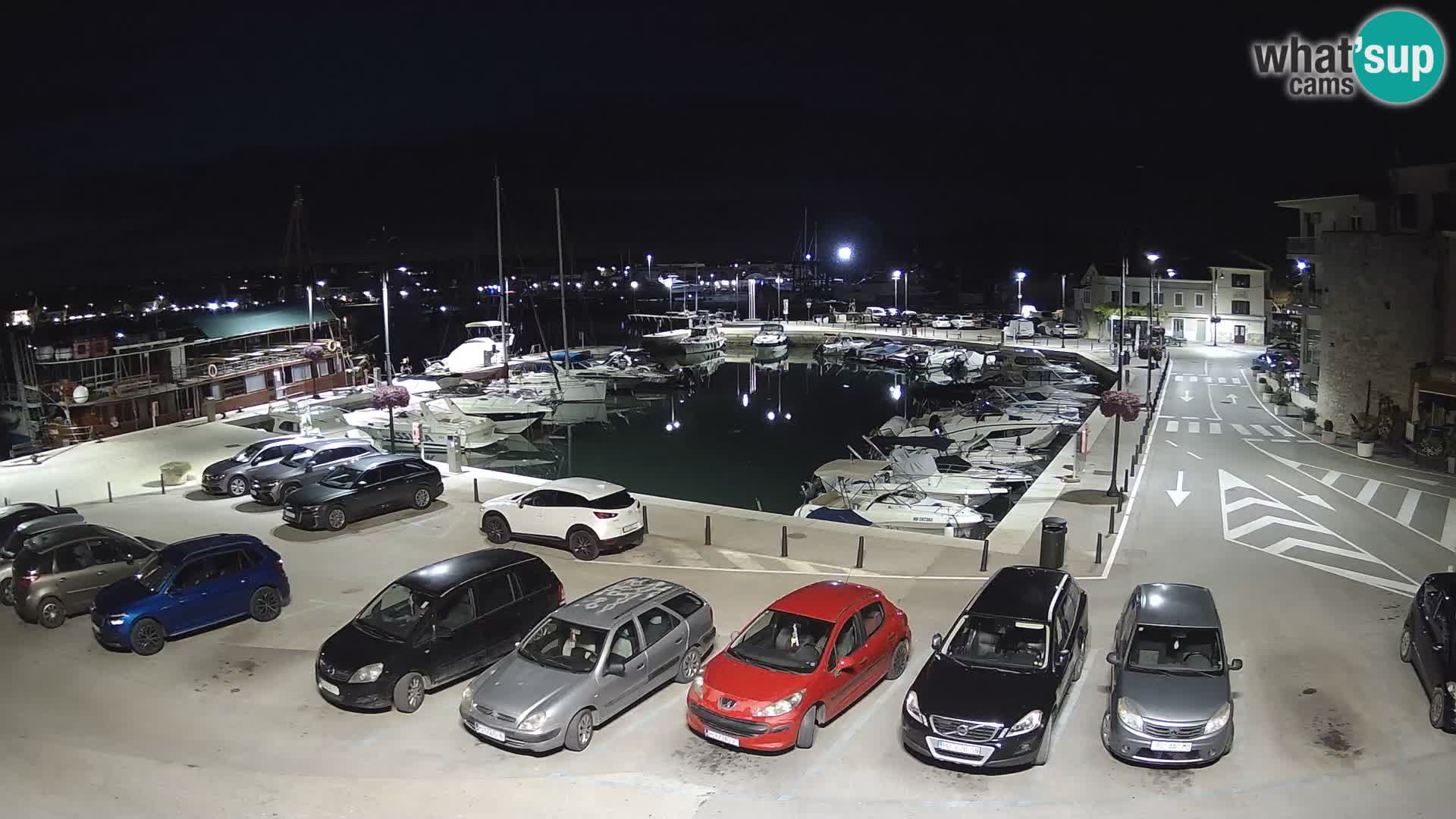 Novigrad | Porporela marina