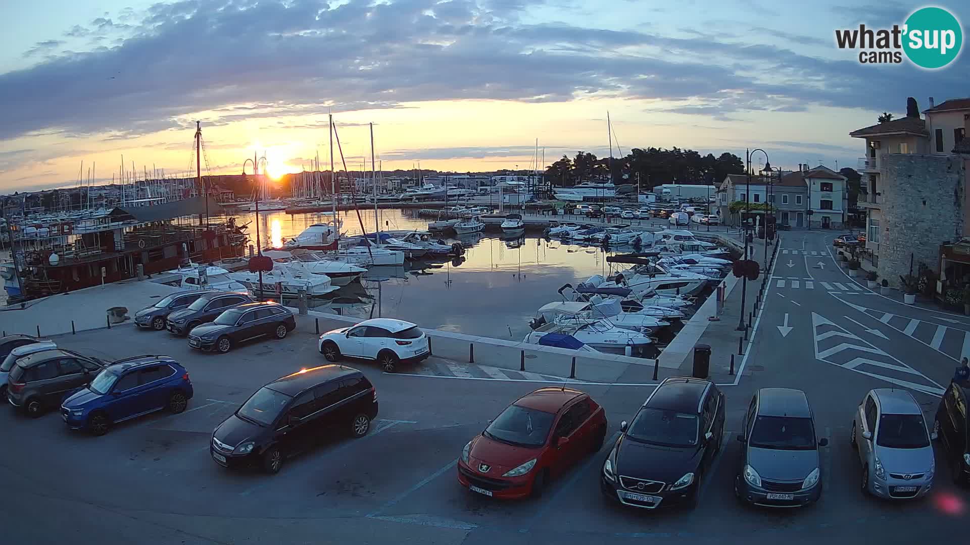 Novigrad | Porporela marina