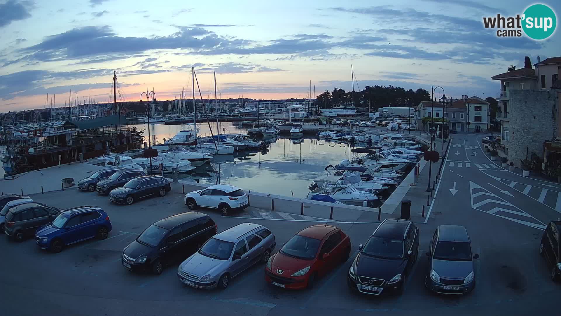 Novigrad | Porporela marina
