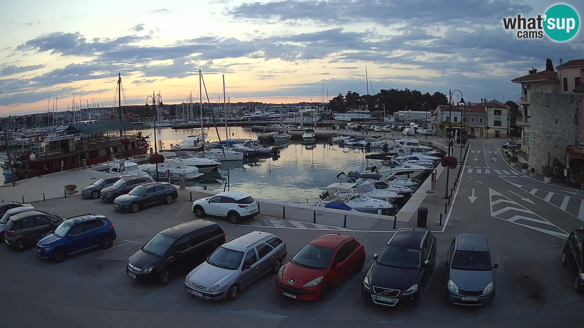 Novigrad | Porporela marina