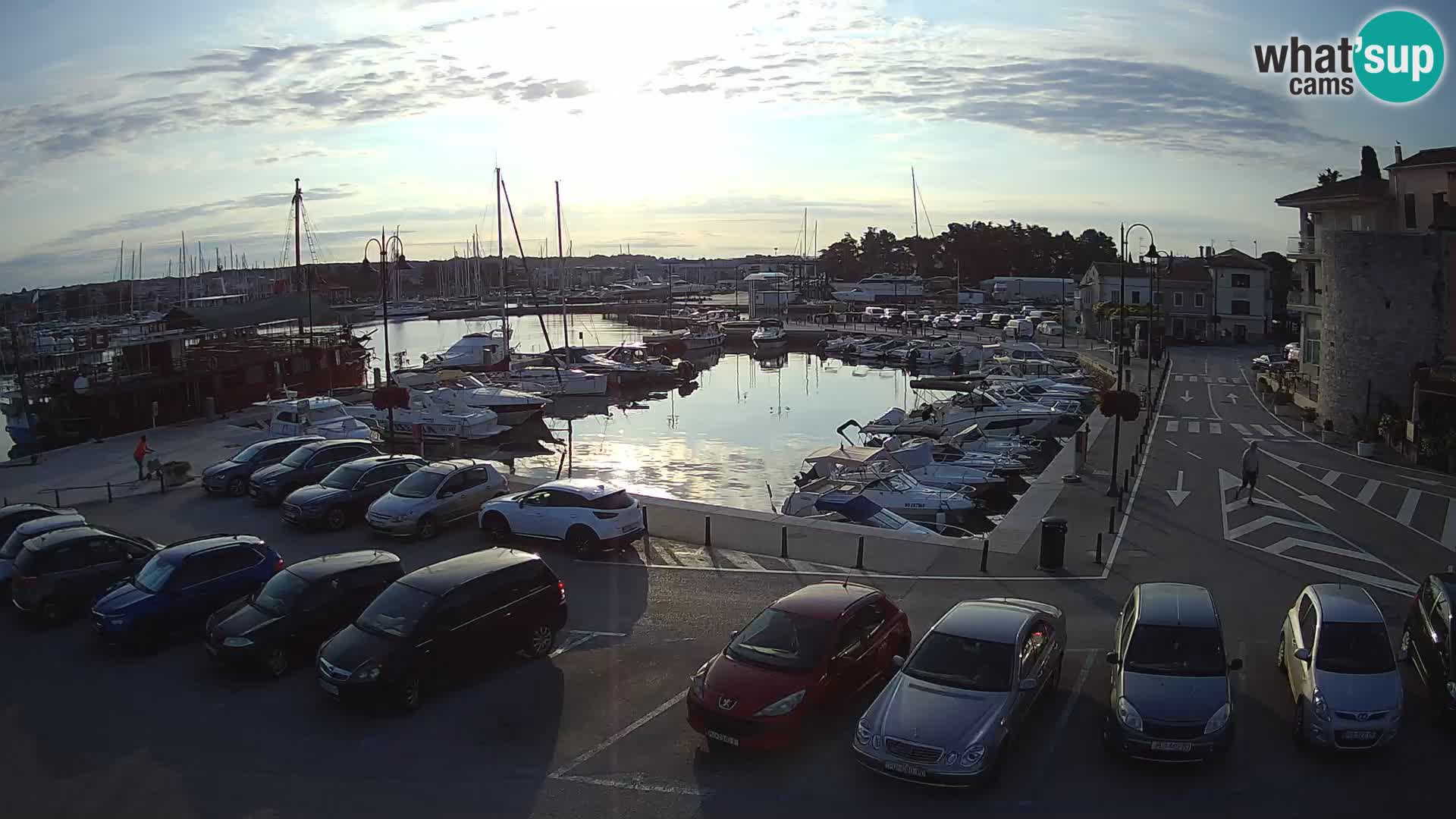 Novigrad | Porporela marina
