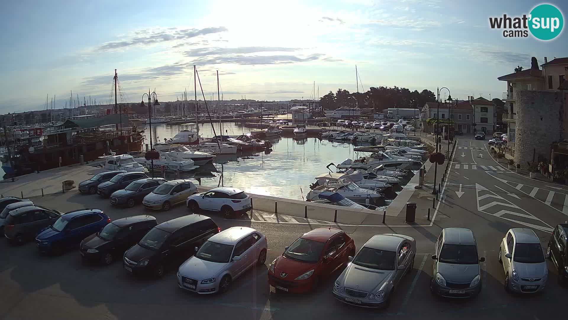 Novigrad | Porporela marina