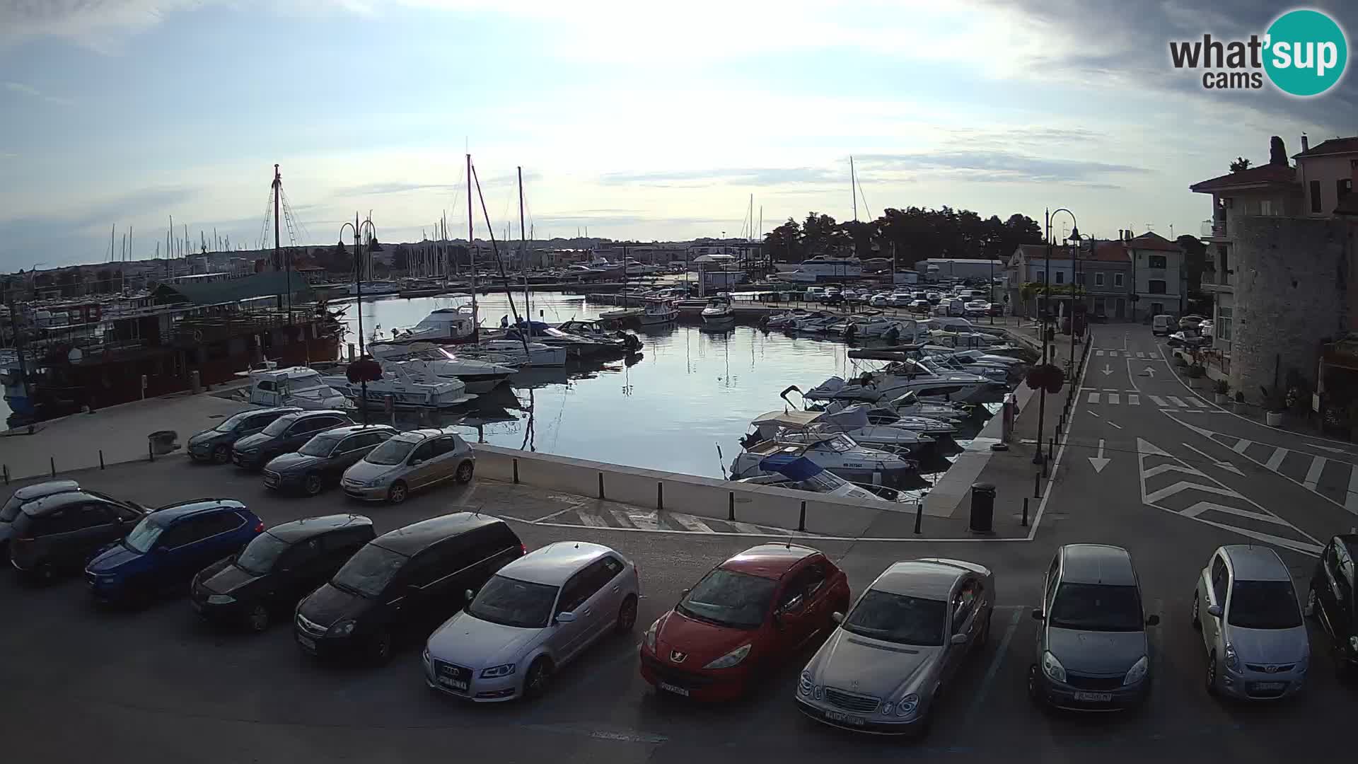 Novigrad | Porporela marina