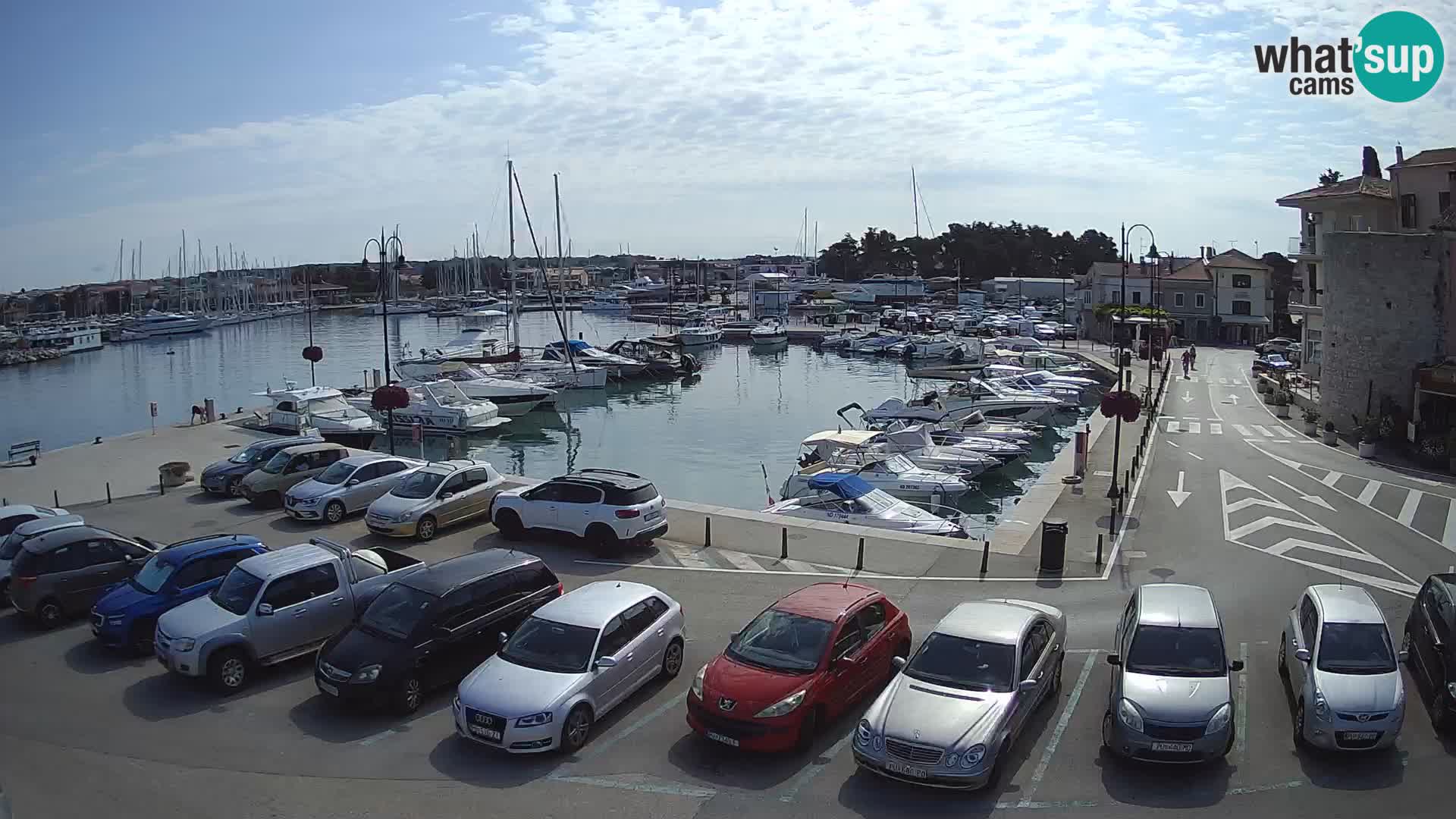 Novigrad | Porporela marina