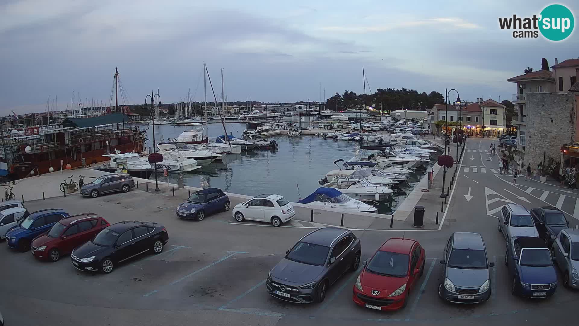 Novigrad | Porporela marina