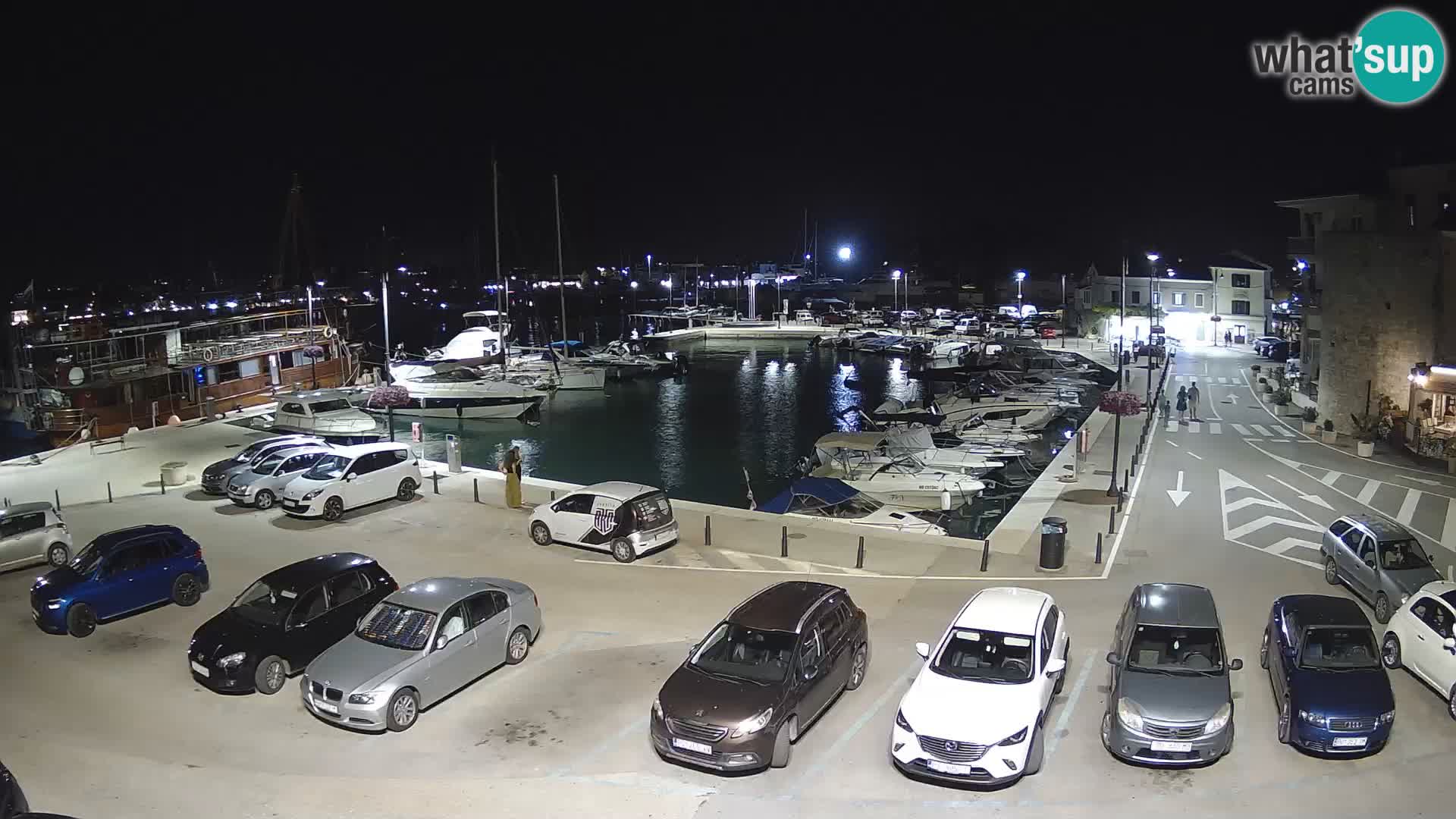 Novigrad | Porporela marina