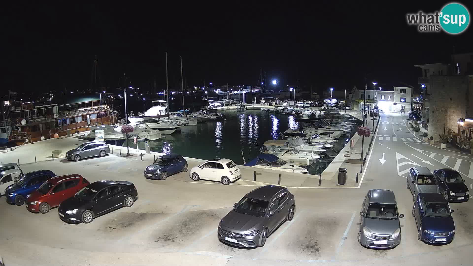 Novigrad | Porporela marina
