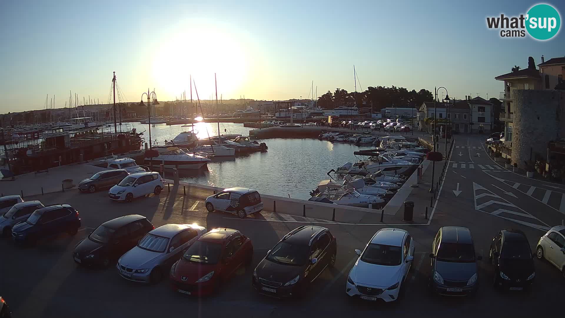 Novigrad | Porporela marina