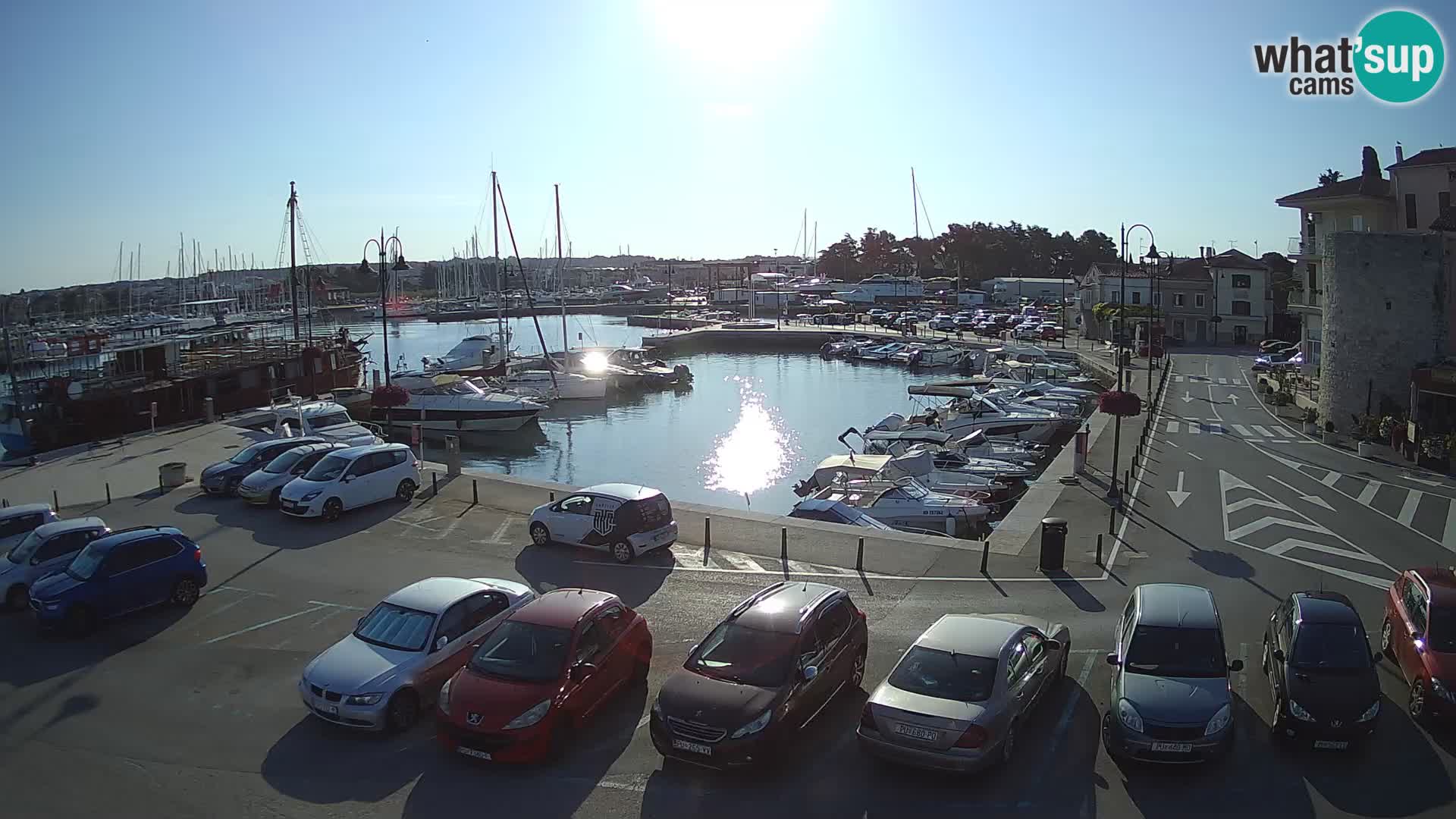 Novigrad | Porporela marina